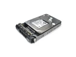 1MVTT DELL 4TB 7,2K 12GB 3,5INCH SAS HDD