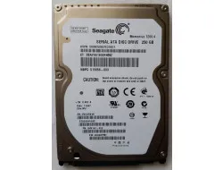 ST9250410AS DNP-S SEAGATE MOMENTUS 250GB 7.2K 3G 2.5INCH SATA HDD