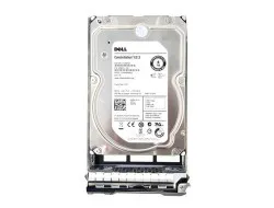 DS-SAS6-35-2000 Dell Disk 2TB 7.2K SAS 3.5 6G CML