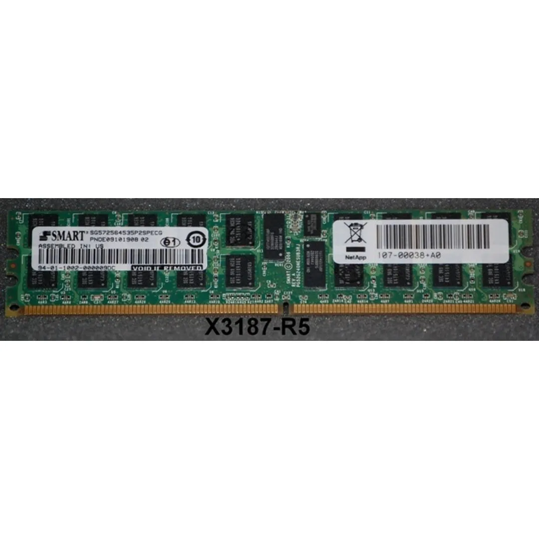 NETAPP X3187 2GB DDR Memory DIMM. PC2-5300P
